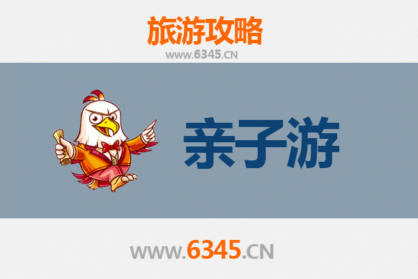 西双版纳勐腊亲子游攻略：雨林探险与民族文化的完美之旅